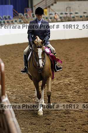 Proof Number 10r12_5566