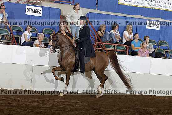 Proof Number 10r12_1676