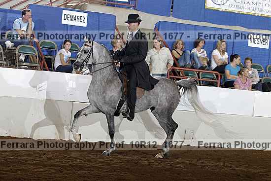 Proof Number 10r12_1677
