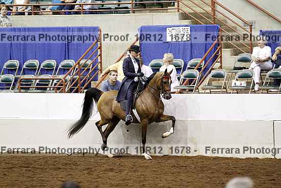 Proof Number 10r12_1678