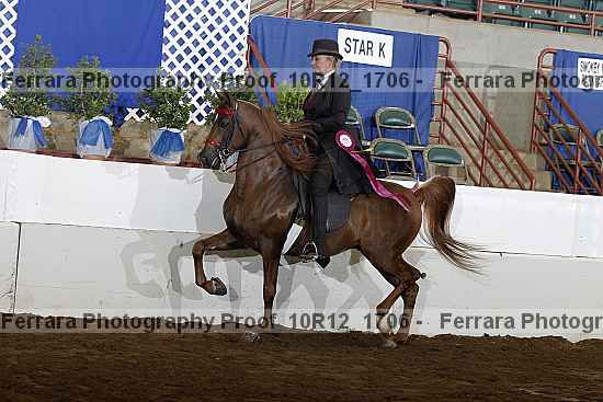 Proof Number 10r12_1706