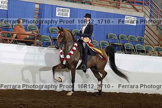 Proof Number 10r12_1710