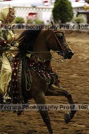 Proof Number 10r12_1743
