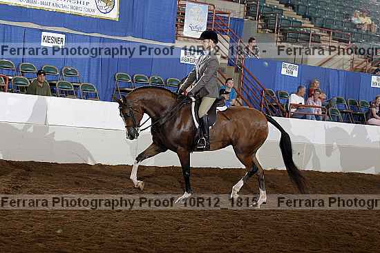 Proof Number 10r12_1815