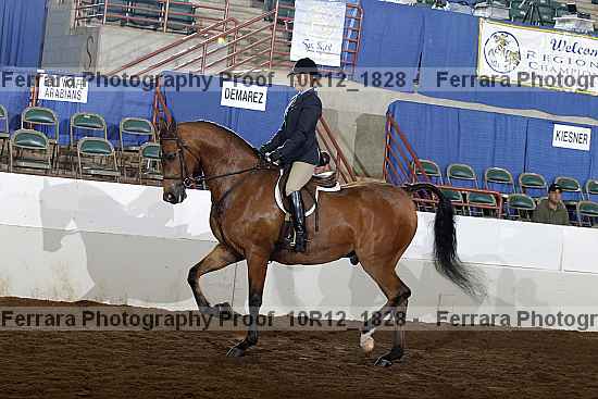 Proof Number 10r12_1828