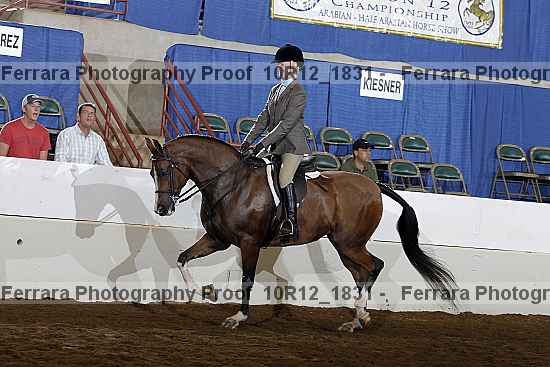 Proof Number 10r12_1831