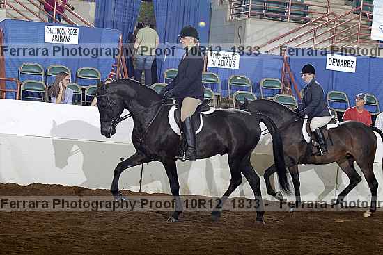 Proof Number 10r12_1833