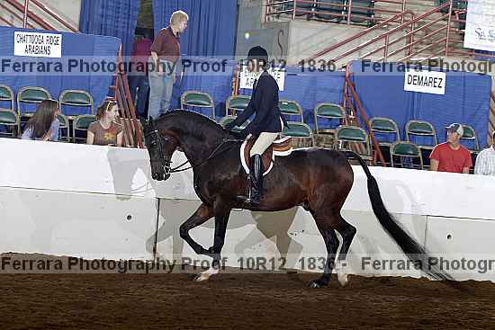 Proof Number 10r12_1836