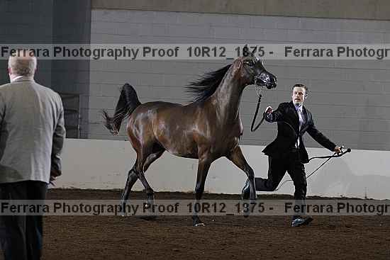 Proof Number 10r12_1875
