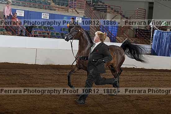Proof Number 10r12_1886