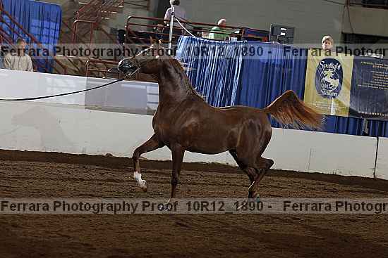 Proof Number 10r12_1890