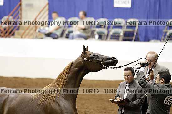 Proof Number 10r12_1896
