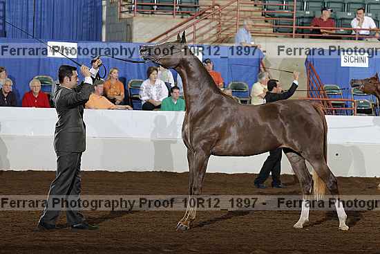 Proof Number 10r12_1897