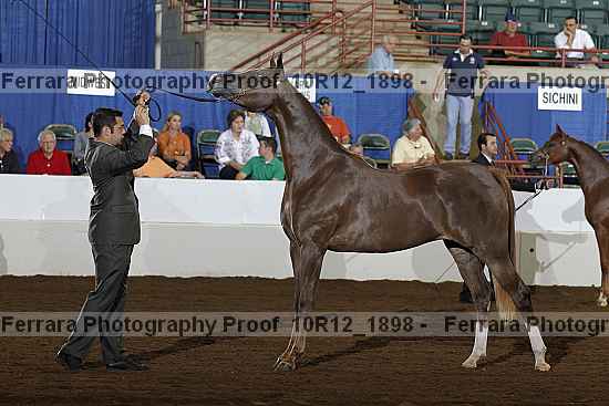 Proof Number 10r12_1898