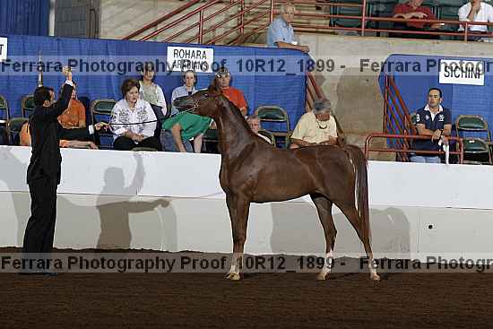 Proof Number 10r12_1899