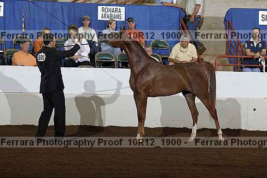 Proof Number 10r12_1900