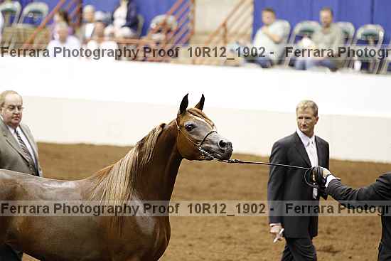 Proof Number 10r12_1902