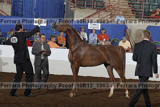 Proof Number 10r12_1903