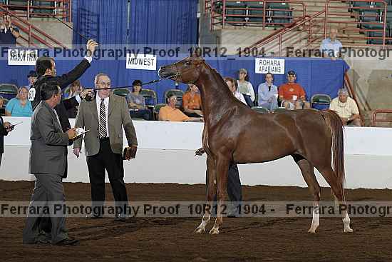 Proof Number 10r12_1904