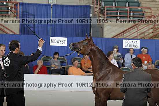 Proof Number 10r12_1905