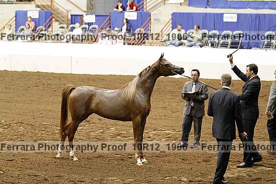 Proof Number 10r12_1906