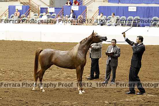 Proof Number 10r12_1907