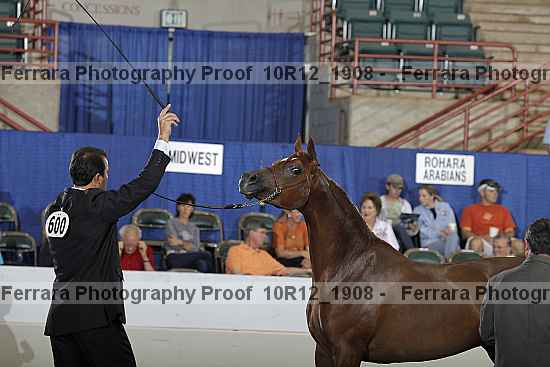 Proof Number 10r12_1908