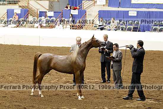 Proof Number 10r12_1909