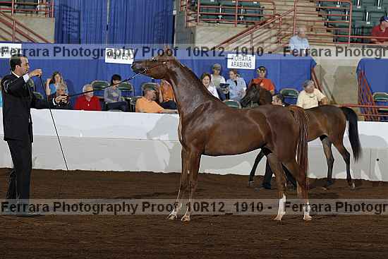 Proof Number 10r12_1910