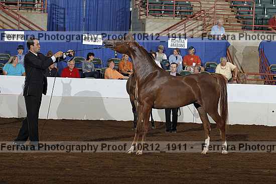 Proof Number 10r12_1911