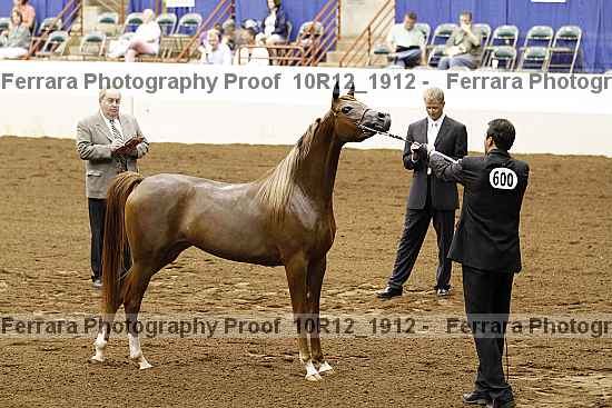 Proof Number 10r12_1912