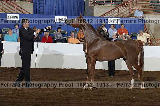 Proof Number 10r12_1913