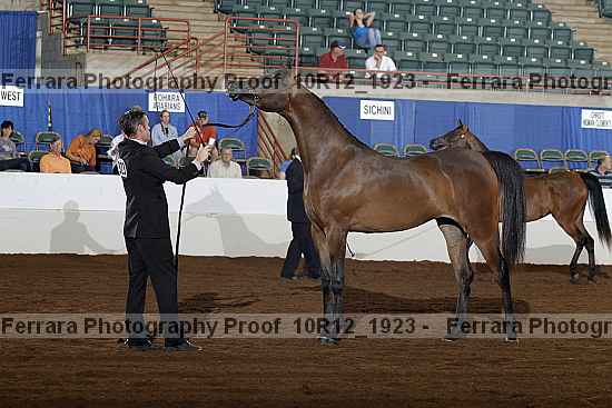 Proof Number 10r12_1923