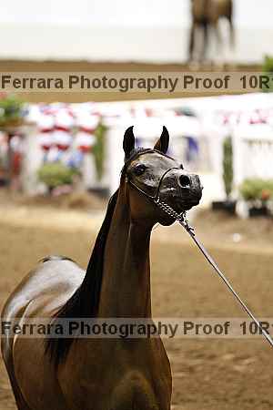 Proof Number 10r12_1924