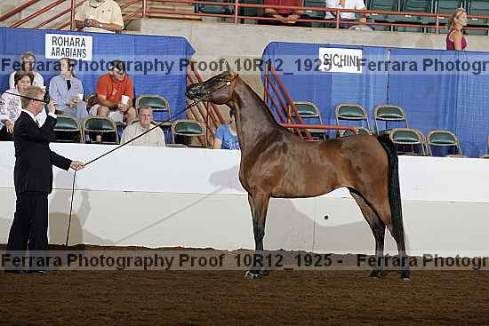 Proof Number 10r12_1925