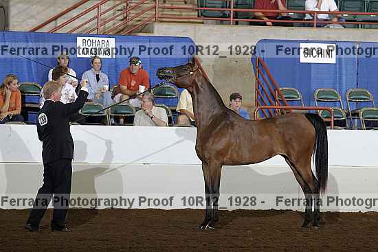 Proof Number 10r12_1928