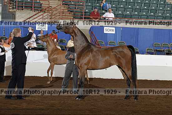 Proof Number 10r12_1929