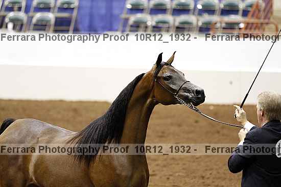 Proof Number 10r12_1932