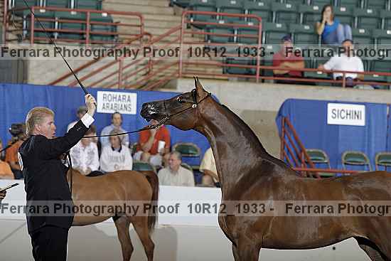 Proof Number 10r12_1933