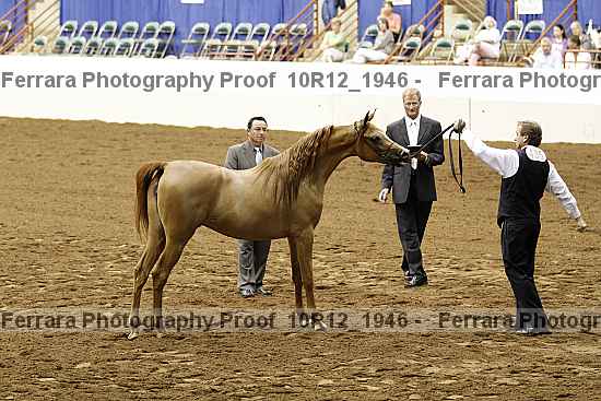Proof Number 10r12_1946