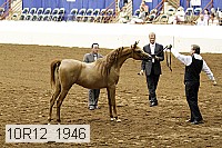 10r12_1946 thumbnail