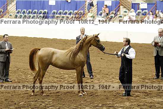 Proof Number 10r12_1947