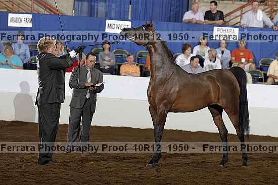 Proof Number 10r12_1950