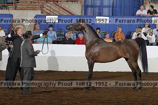 Proof Number 10r12_1952
