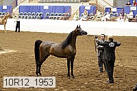 10r12_1953 thumbnail
