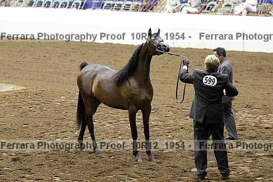 Proof Number 10r12_1954