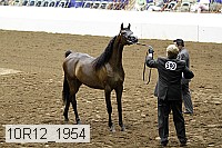 10r12_1954 thumbnail