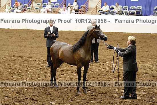 Proof Number 10r12_1956