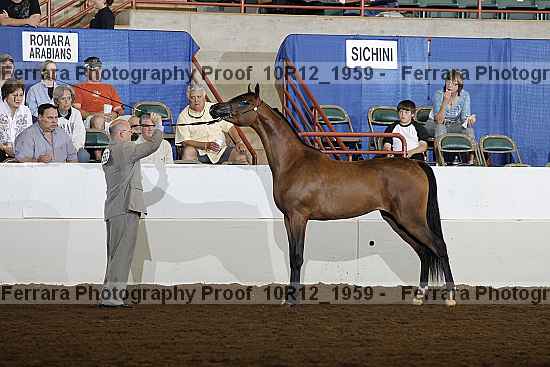 Proof Number 10r12_1959