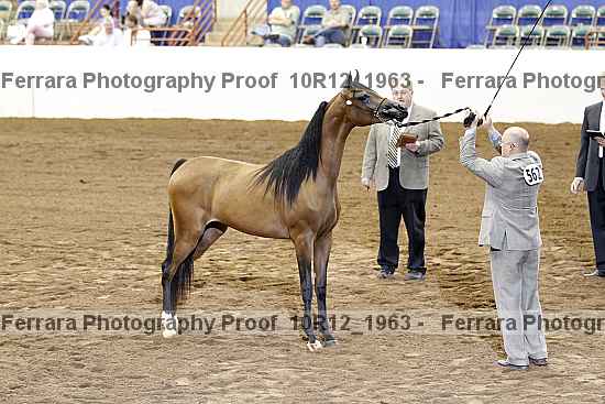 Proof Number 10r12_1963